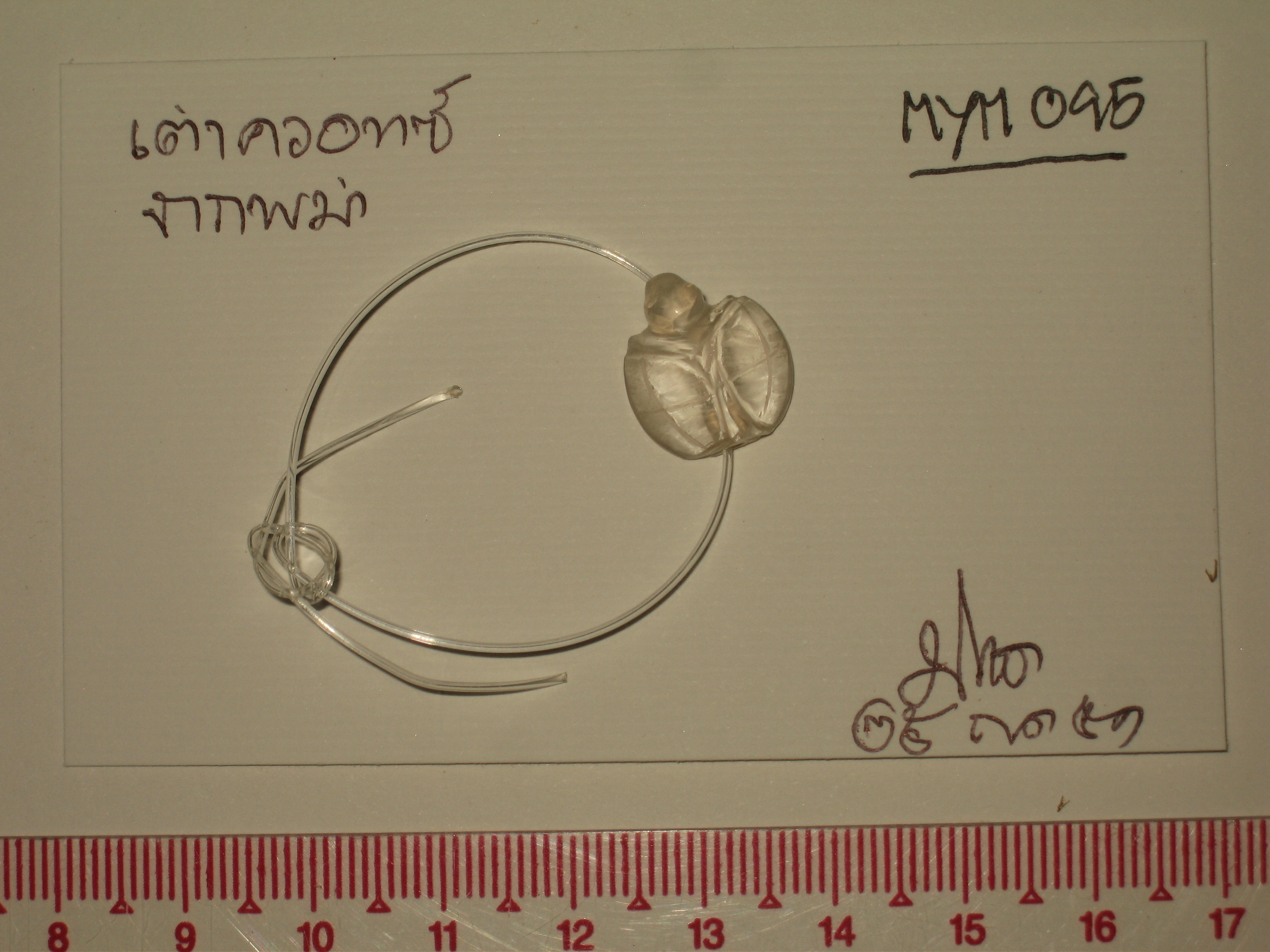 MYM 095.jpg